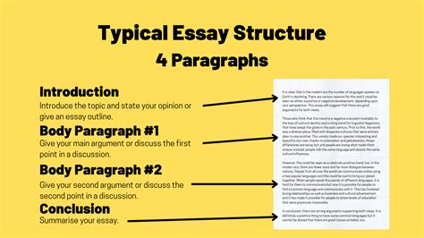 is 3 paragraphs an essay Does the structure of an essay necessarily need to be divided into three distinct sections?